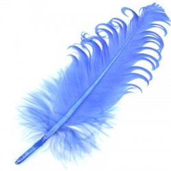 Feather 15-20cm