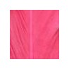 Corail