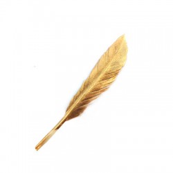 Feather ~12-15cm