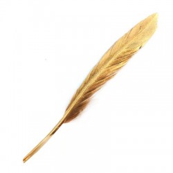 Plume ~15cm