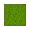 Verde Chiaro