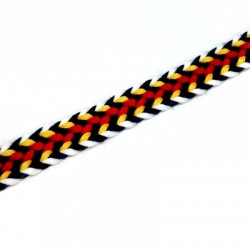 Nastro di Poliestere Tipo Etnico 10mm (~5yard/conf)