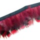 Nastro Sintetico con Piume di Fagiano ~40-60mm (~1mtr/conf)