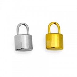 Breloque Cadenas 10x16mm en Acier Inoxydable 304