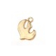 Brass Cast Charm Pigeon 10x11mm