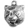 Argent Vieilli 999°/5μm