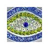 Cristal/Sapphire