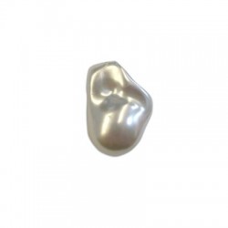 Pearl ABS Irregular 15x21mm