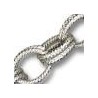Silver Shinny