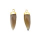 Agate Tooth Charm w/ Brass Setting 8x23mm 