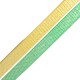 Cordón Sintético PU Plano con Gliter 5mm (1.2mtr/tira)