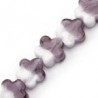 White/Purple