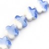 White/Blue