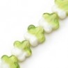 White/Light Green