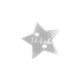 Πλέξι Ακρυλικό Στοιχείο Αστέρι "Wish" για Μακραμέ 22mm