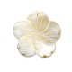 Shell Pendant Flower 45mm