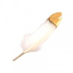 Feather ~12cm