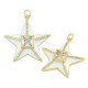 Enameled Brass Pendant Star with Zircon 27mm