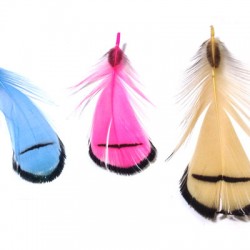 Plume ~6-11cm (tailles assorties)