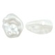 Perle ABS Ovale Plate 11 x 12 mm Ø 1 mm
