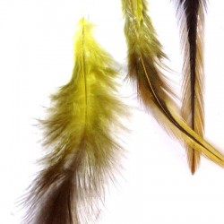 Pluma Natural 12-15cm