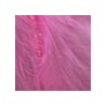 Pink/Salmon Shades