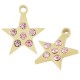 Ciondolo in Acciaio Inossidabile 304 Stella con Cristall1 12.6mm