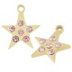 Stainless Steel Charm Star w/ Strass 12.6mm