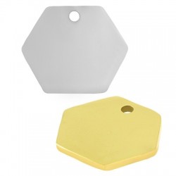 78080505 Ciondolo in Acciaio Inossidabile 304 Targhetta Esagonale 20x17mm/1.35mm  (Ø2mm)