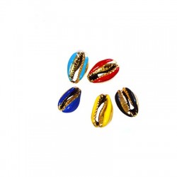 Cowry Shell w/ Enamel ~8x12mm