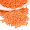405FR - Orange Frosted
