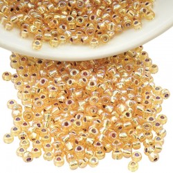 Miyuki Rocaille Bead Round 8/0 (20gr) (~780pcs) (1003)