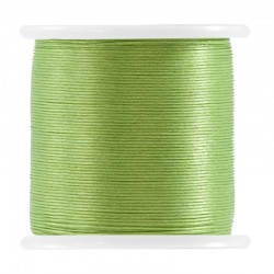 Filo di Nylon Miyuki 0.2mm (~50mtr/bobina)