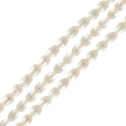 Perle d'eau douce  (~6x6.5mm) (Ø1mm) (~50pcs/fil)