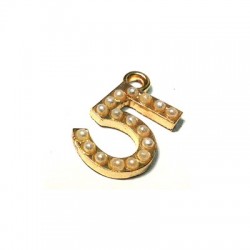 Colgante Número "5" con Strass 9x15mm