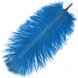 Plume Autruche ~15-20cm (tailles assorties)