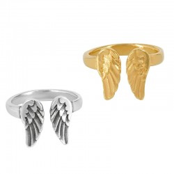 Brass Ring w/ Wings 18x14mm