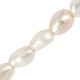 Fresh Water Pearl Bead (~3-4mm) (Ø0.2mm) (~70pcs)
