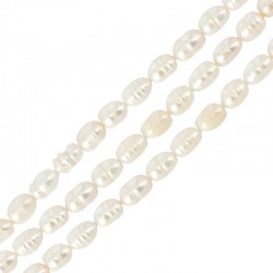 Fresh Water Pearl Bead (~5-6mm) (Ø~0.5mm) (~45pcs)