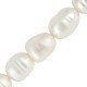 Fresh Water Pearl Bead (~9-10mm) (Ø~0.5mm) (~35pcs)