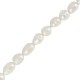 Fresh Water Pearl Bead (~10-11mm) (Ø~0.5mm) (~29pcs)