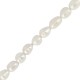 Fresh Water Pearl Bead (~10-11mm) (Ø~0.5mm) (~29pcs)