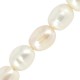 Fresh Water Pearl Bead (~4-5mm) (Ø~0.4mm) (~57pcs)
