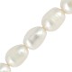Fresh Water Pearl Bead (~5-6mm) (Ø~0.5mm) (~47pcs)