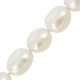Fresh Water Pearl Bead (~9-10mm) (Ø~0.5mm) (~34pcs)