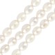 Fresh Water Pearl Bead (~10-11mm) (Ø~0.4mm) (~34pcs)