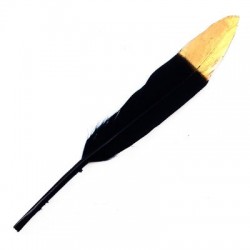 Piuma ~15cm