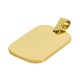 Ciondolo in Acciaio Inossidabile 304 16.5X25 Mm/1.5 mm