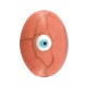 Howlite Bead Oval w/ Evil Eye & Enamel 13x18mm (Ø1.5mm)