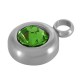 Stainless Steel 304 Charm Round with Crystal 8mm